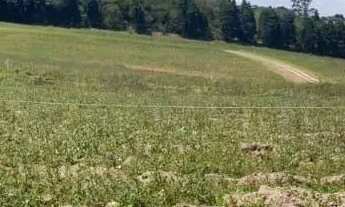 Imagem 4: Terreno ideal para morar ou investir 500m²