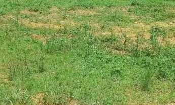 Imagem 2: Lote em condomínio na 26 de setembro