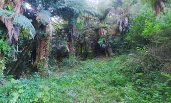 Imagem: Chacarra quatro baras