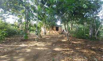 Imagem: /Lote com 800 M2 em Açutuba