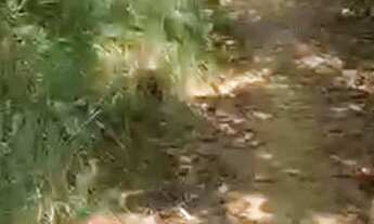 Imagem 4: Vendo lotes em Boipeba-ba.