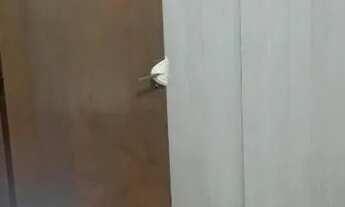 Imagem 5: Apartamento próximo a ufmg