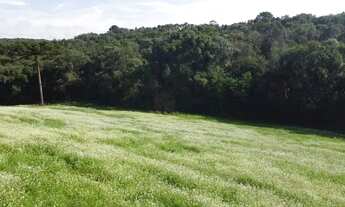 Imagem 4: TERRENO PARA FORMAÇÃO DE CHÁCARA PRÓXIMO AO CENTRO DE CAMPO LARGO