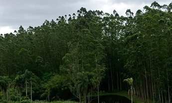 Imagem 4: Lotes à venda em Cotia!