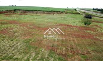 Imagem 5: Área à venda, 66268 m² por R$ 13.300.000,00 - Engenheiro Carlos de Lacerda Chaves - Ribeir