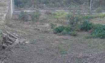 Imagem 3: Terreno para Venda em Presidente Prudente, NOVO PRUDENTINO