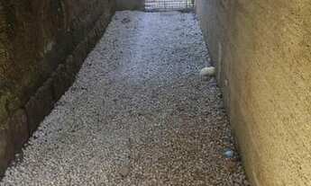 Imagem 7: Kitnet Kitnet com aluguel por R$450 /mês