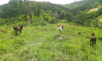 Imagem: Excelente oportunidade terreno rural de