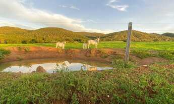 Imagem 5: Fazenda para Venda em Mara Rosa, Zona Rural