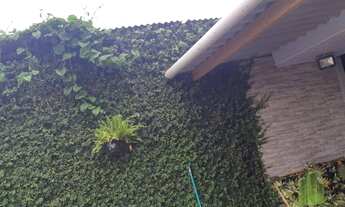 Imagem 5: Casa com 3 dormitórios à venda, 80 m² por R$ 320.000,00 - Serraria - São José/SC