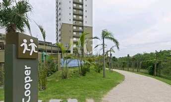 Imagem 5: Apartamento em Jardim Carvalho