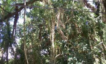 Imagem 4: Terreno em Belém Novo