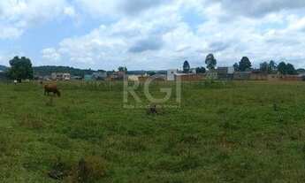 Imagem 5: Terreno com exclusividade com mais de 5 hectares