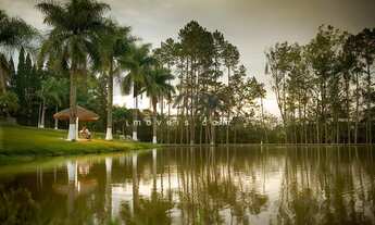 Imagem 2: SÍTIO COM COMPLETA INFRAESTRUTURA PARA TURISMO OU POUSADA