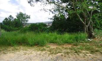 Imagem: Terreno em Altos do Ipê