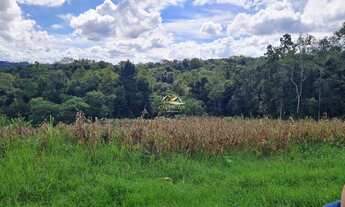 Imagem 3: CAMPO LARGO - Sítio - Rondinha