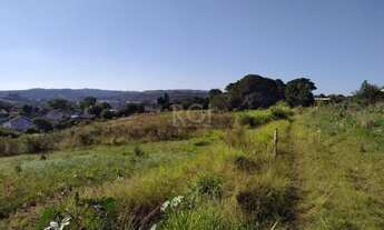 Imagem 6: Area em Campo Novo