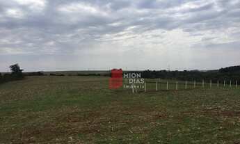 Imagem 3: Sitio com 14 Alqueires as margens do Contorno Oeste