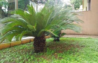 Imagem 5: Apartamento com 4 dormitórios à venda, 380 m² por R$ 1.290.000 - Santo Antônio - Belo Hori