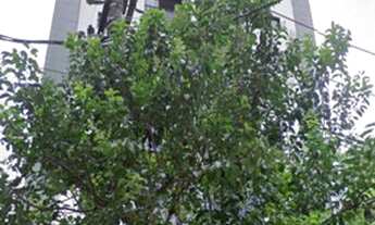 Imagem: Apartamento com 2 dormitórios, 70 m²