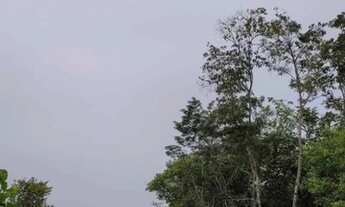 Imagem 2: Lotes em Belterra