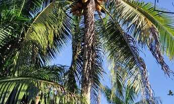 Imagem: Vende-se uma chácara, contato