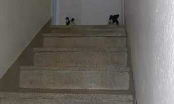 Imagem 2: Sobrado a venda Mooca - 02 dormitórios , 02 banheiros , excelente localização