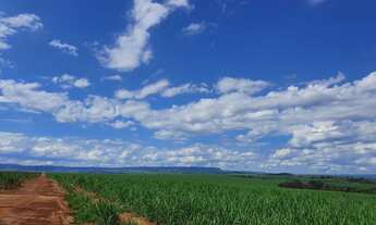 Imagem 3: Fazenda em mococa 88 alqueires 20.000.000.00 ( sand