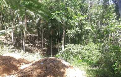Imagem 3: Terreno Terreno / lote com venda por R$130.000
