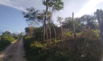 Imagem 4: Terreno com 98 Tarefas