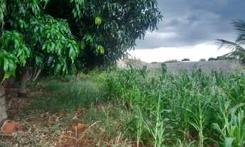 Imagem: Terreno gaveta no Cuca Fresca 1000 Metros