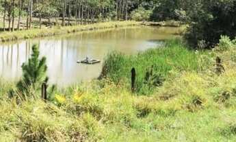 Imagem: A43 - Compre terreno e valorize seu dinheiro