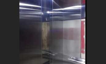 Imagem 7: Aluguel de apartamento na Vicente Pires 2qts particular