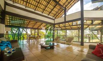 Imagem 2: CASA SUSPENSA ENTRE AS ÁRVORES COM CASCATA EM SEU INTERIOR