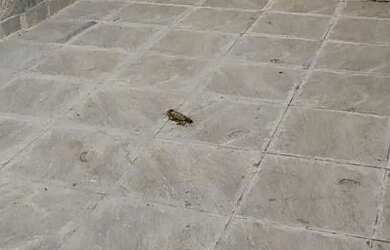 Imagem 6: 3 cômodos c/ proprietário