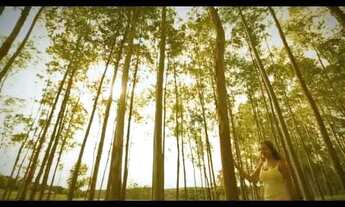 Imagem 2: Oportunidade de Terreno - Ninho Verde II - Eco Residence - Pardinho