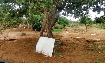 Imagem 7: Chácara de 1 Hectares Poço C/Artesiano em Planaltina DF - Próximo a Acqua Cerrado