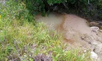 Imagem 3: VENDO PROPRIEDADE 15TAREFAS ESTÂNCIA/SE