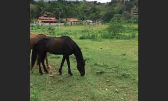 Imagem 6: Penedo, terrenos próximo centrinho (800 metros quadrados , planos , escriturados