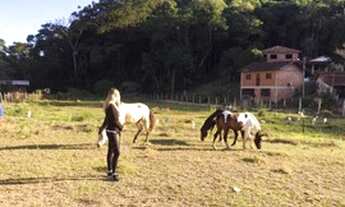 Imagem: Penedo, terrenos próximo centrinho (800