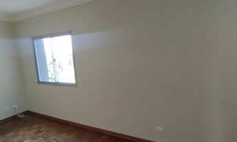 Imagem 2: SAO CAETANO DO SUL - Padrão - Santa Maria