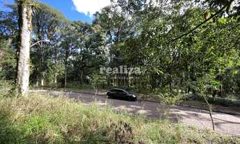 Imagem 4: TERRENO NO CONDOMÍNIO PINHEIRO GROSSO