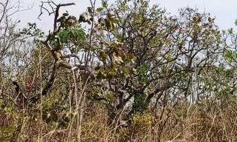 Imagem 2: Chácara em Jaraguá