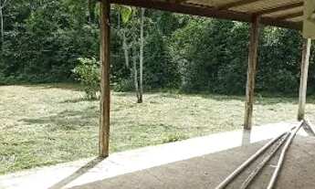 Imagem 5: Lindo sítio na estrada de Autazes km 11 ramal asfaltado a 2.5km de distância da AM 254