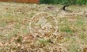 Imagem 5: TERRENO | VENDA| RESIDENCIAL NOVA ESPERANÇA | 450M²