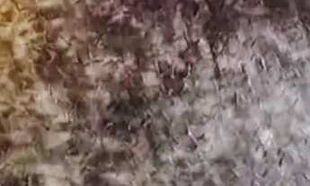 Imagem 4: Apartamento Reformado