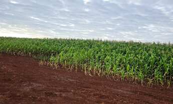 Imagem 4: Vende sitio Chácara com aluguel por R$3.500.000 /mês