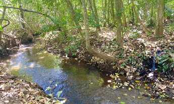 Imagem 4: Chácara de 27.500 m² em Bela Vista de Goiás