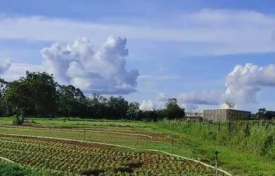 Imagem: Chácara em Abadia de Goiás