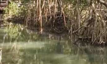 Imagem 4: Casa para Reveillon